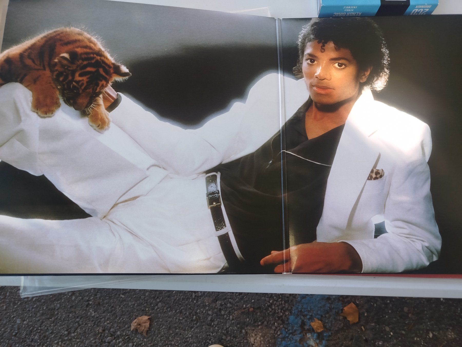 Vinyles: Disque vinyle Michael Jackson Thriller état correct – Neuf avec emballage d'origine à Aigle par m.13 1