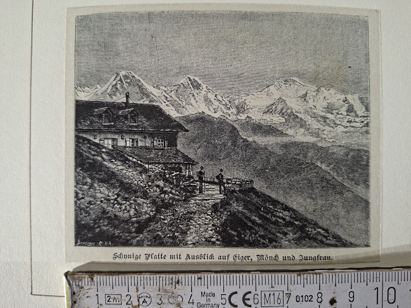 Incisioni: Lot 67 , 10 Stiche  – Usato da Grindelwald venduto da carro5 1