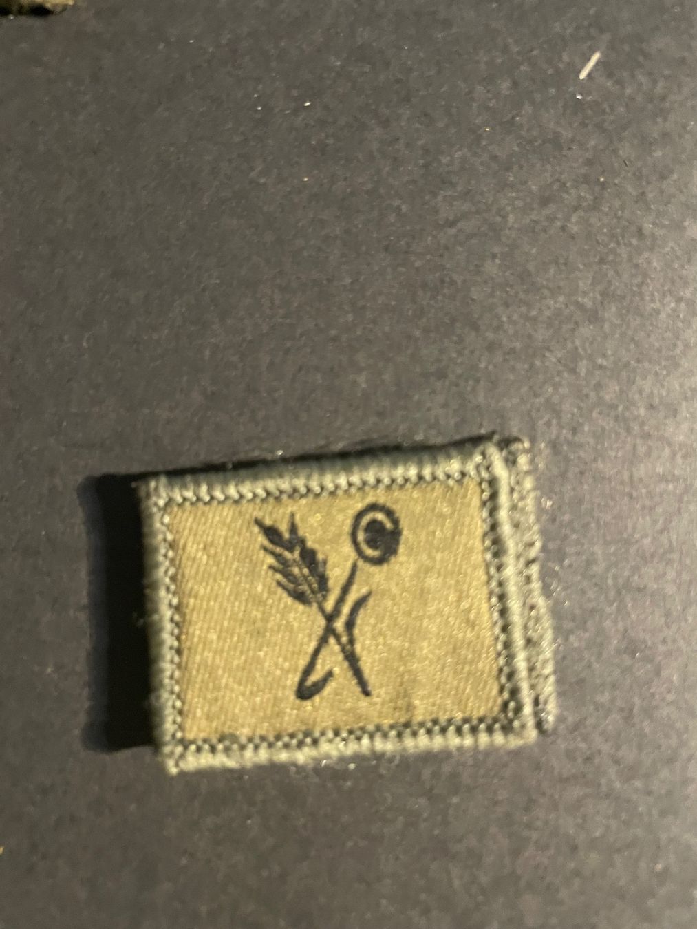 Armée suisse Uniformes: 2 Funktionsabzeichen / Truppenkoch – D'occasion à Wila par Lokelo