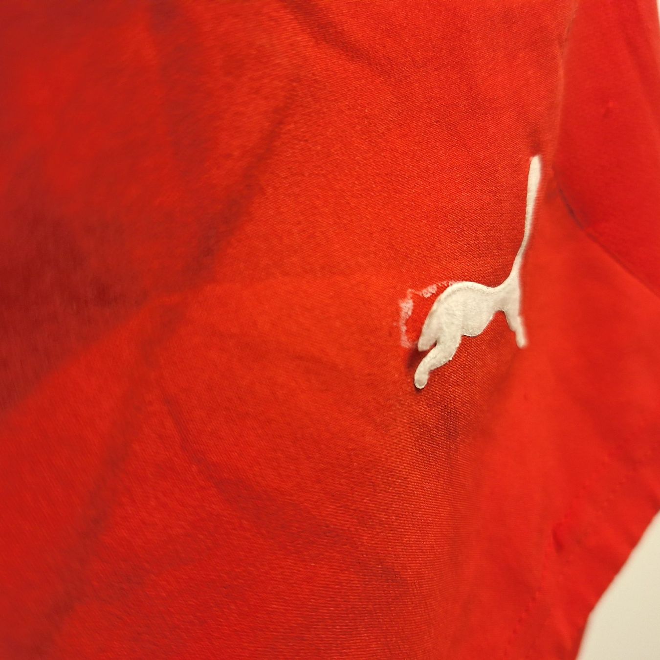 Canottiere & Pantaloni: Puma shorts home XS – Usato da Bellinzona venduto da LA-ropa-de-Juan 9