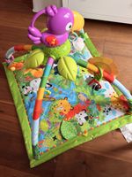 Fischer Price „Rainforest“ Spielbogen