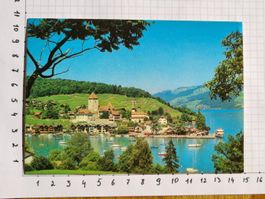 Spiez am Thunersee, Ansichtskarte