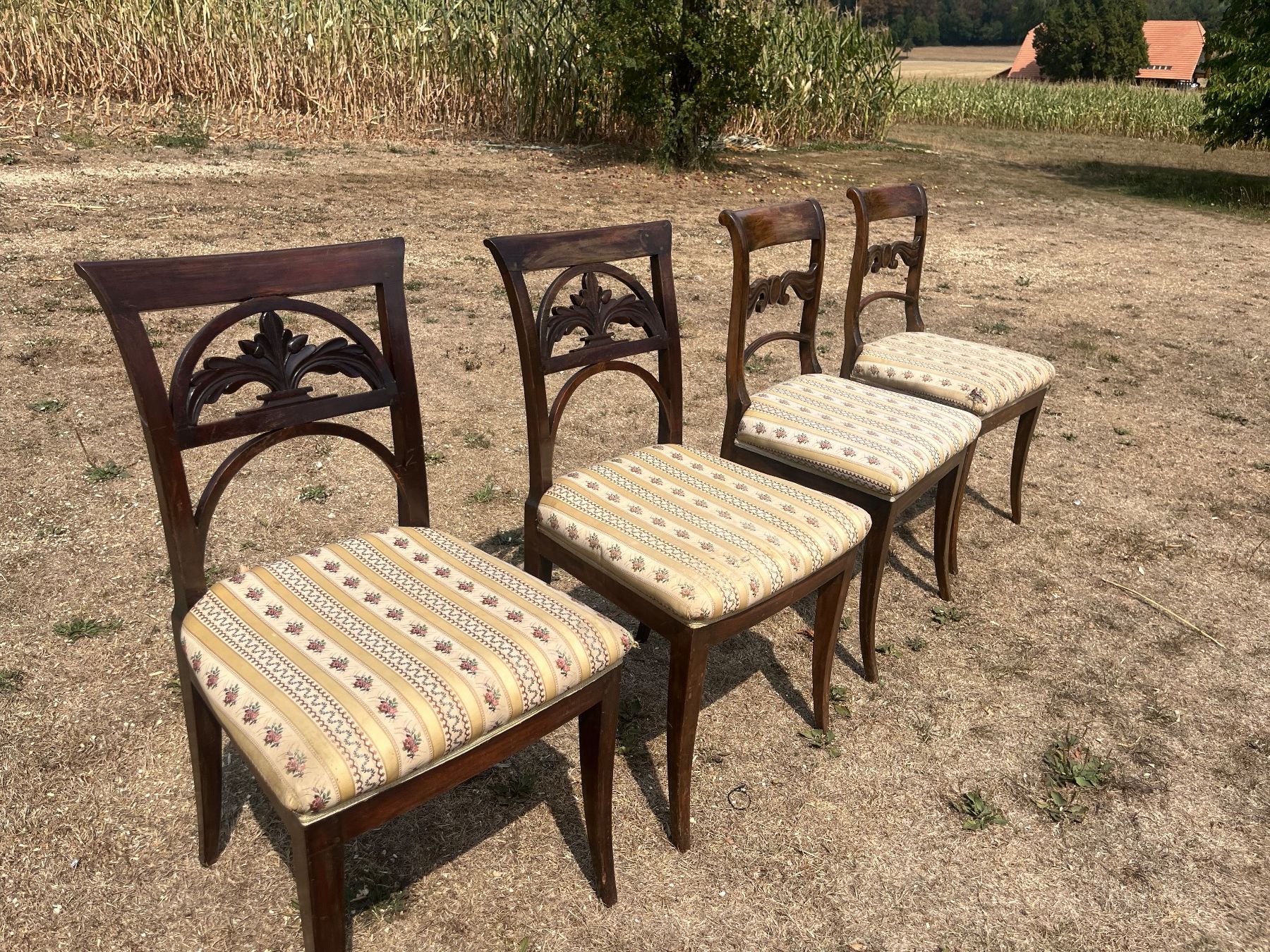 Stühle: 4 Stühle – Gebraucht aus Allmendingen b. BE von juair 3