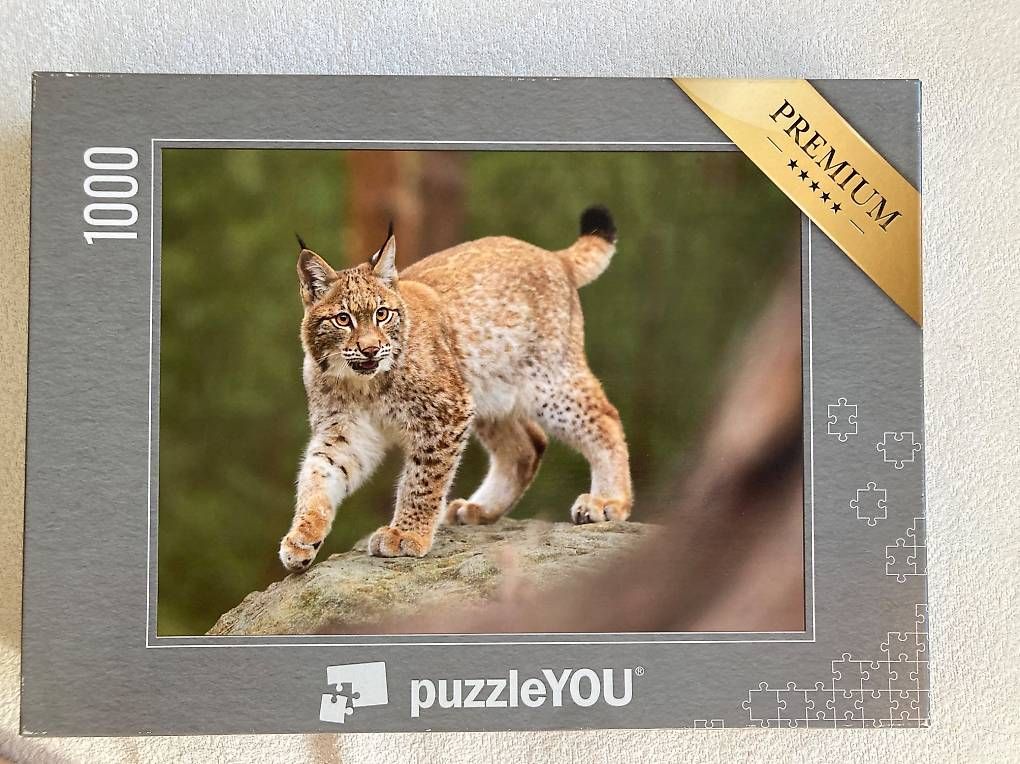 Puzzles: Puzzle Luchs 1000 – Gebraucht aus Oberglatt ZH von Fischli085