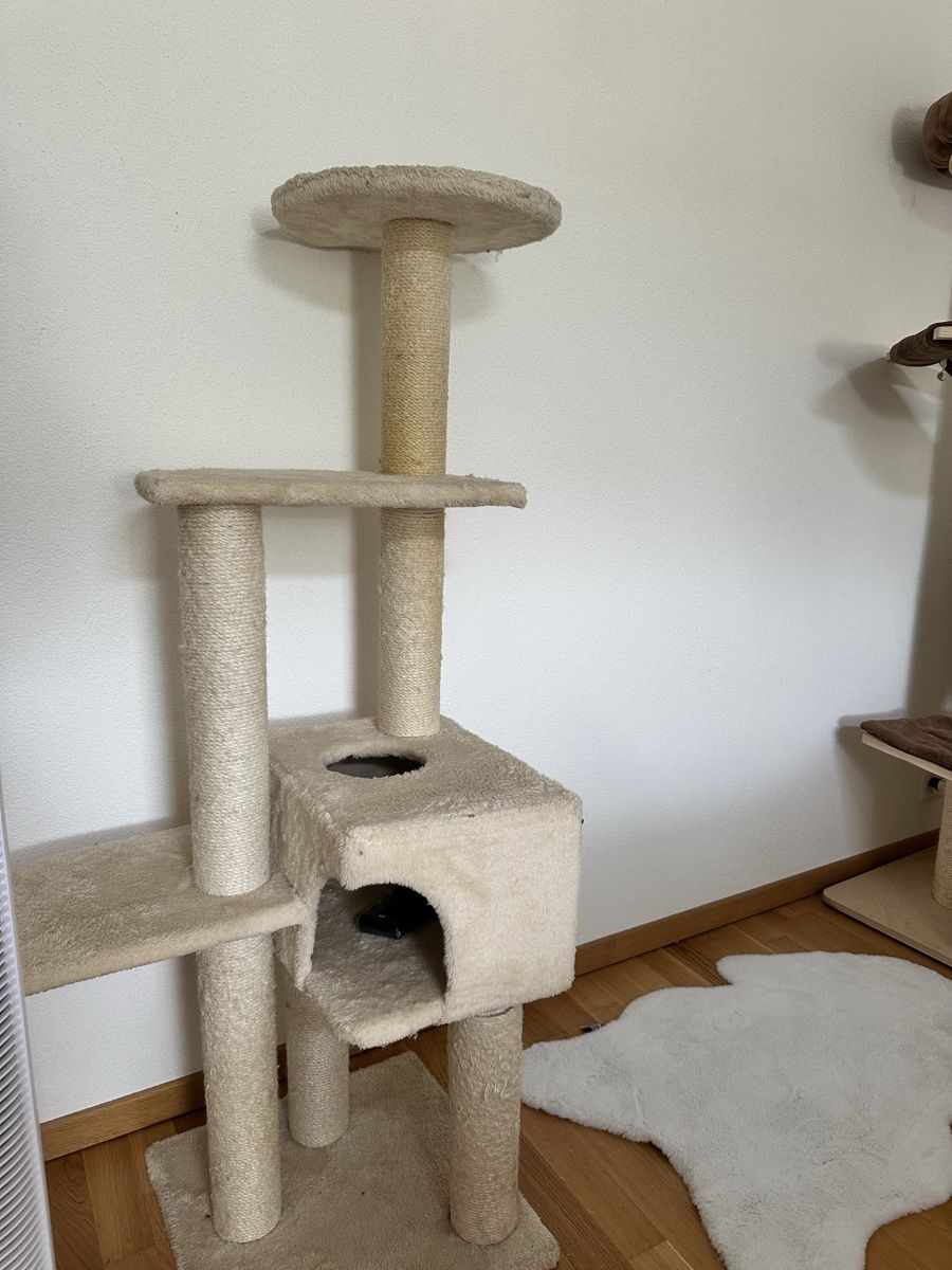 Tiragraffi: Kratzbaum für Katzen – Usato da Illnau venduto da ais_qm7t 1