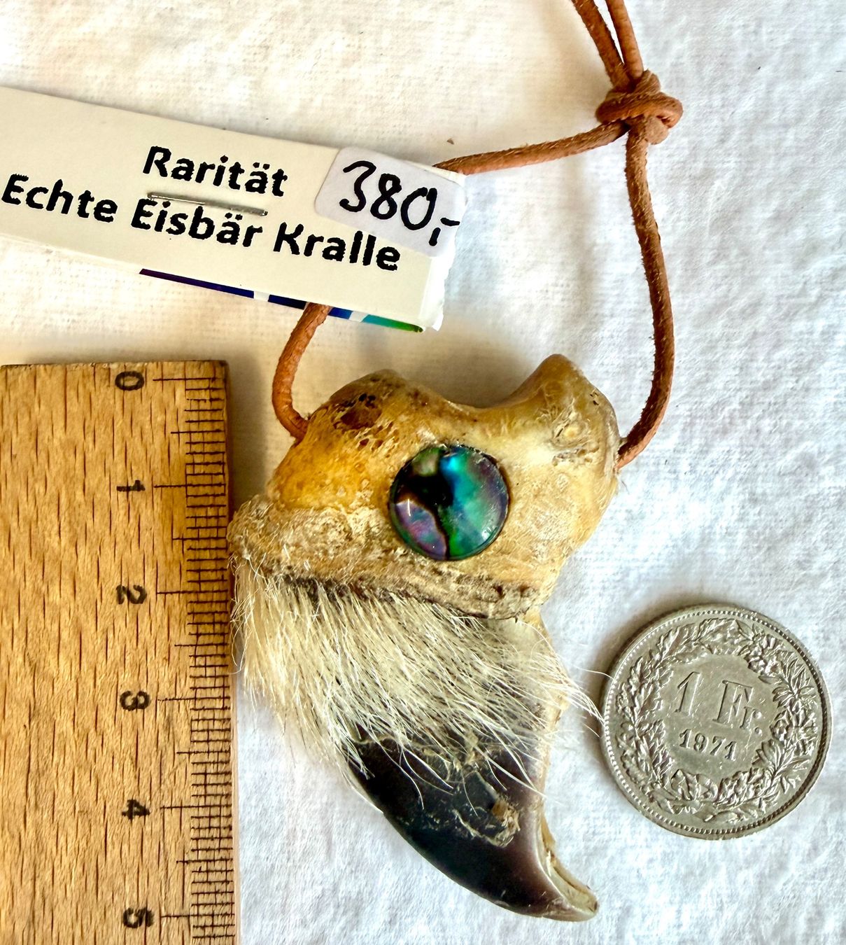 Il mondo degli animali: Echte Eisbär Bären Kralle - Rarität! – Nuovo (secondo la descrizione) da Thun venduto da Abalona3600