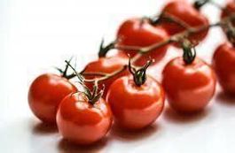 Tomate Zuckertraube, 12 Samen