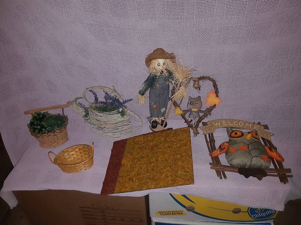 Tutte le decorazioni: HERBST DEKORATION – Usato da Studen SZ venduto da Kbybrig 1