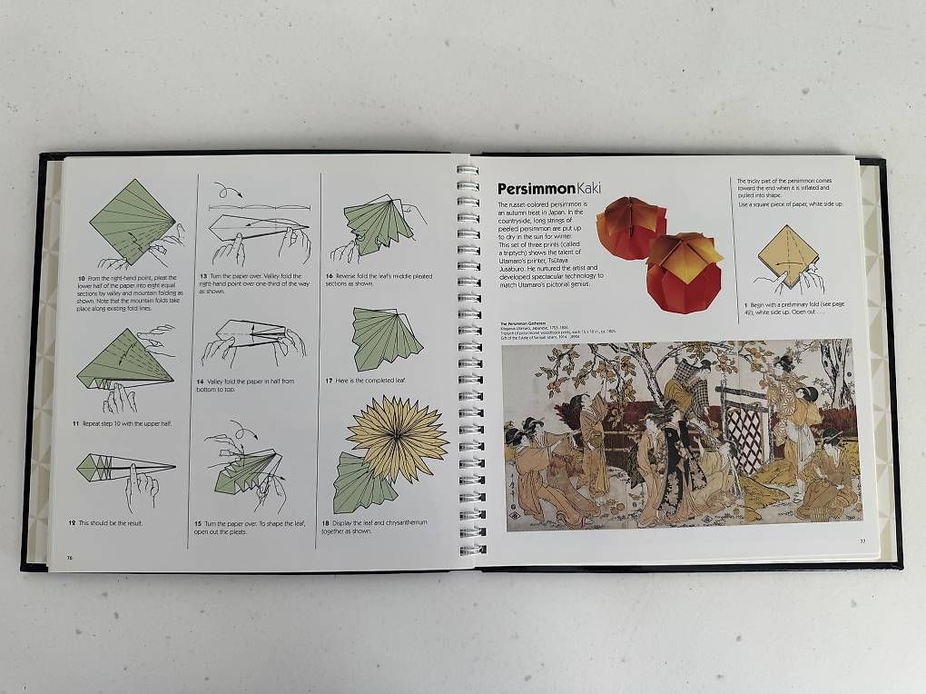 Libri: Livre et papiers Origami – Usato da Colombier NE venduto da rev_j5jx 2
