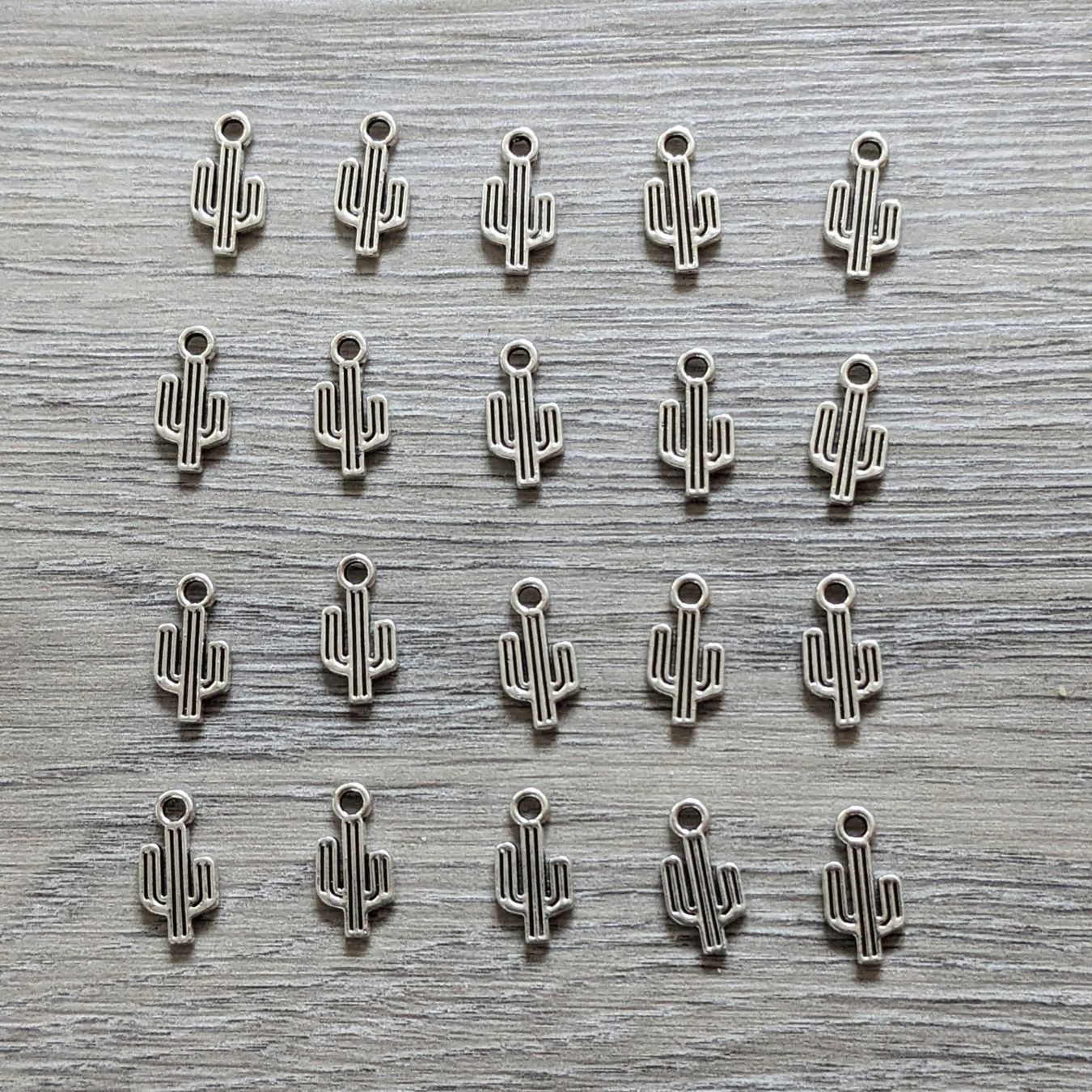 Ciondoli: 20 Charms cactus 🌵 – Nuovo (secondo la descrizione) da Orsieres venduto da ind_cyg6