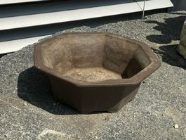 Bonsai Schale gross ab Fr. 1.—