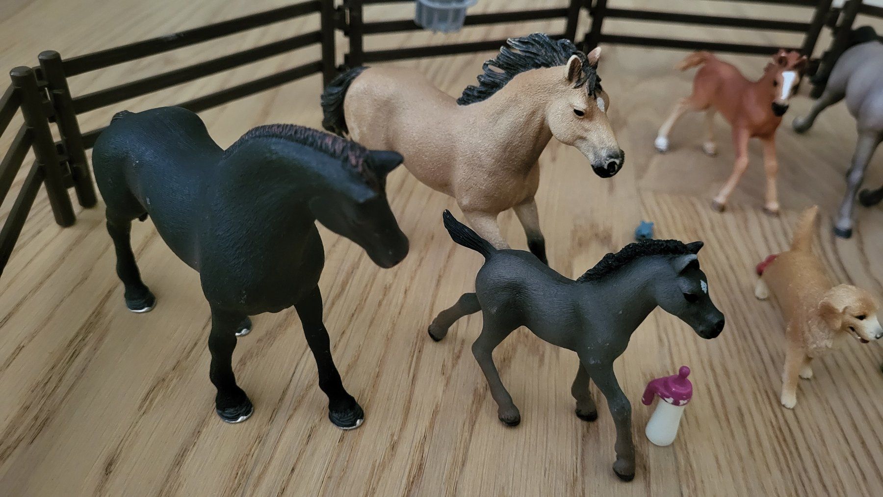 Schleich Spielzeuge: Schleich Pferde-Set mit Zubehör – Gebraucht aus Affoltern am Albis von knzmm 2