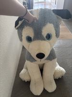 Riesiger Plüsch Hund Husky super Zustand für Kinder