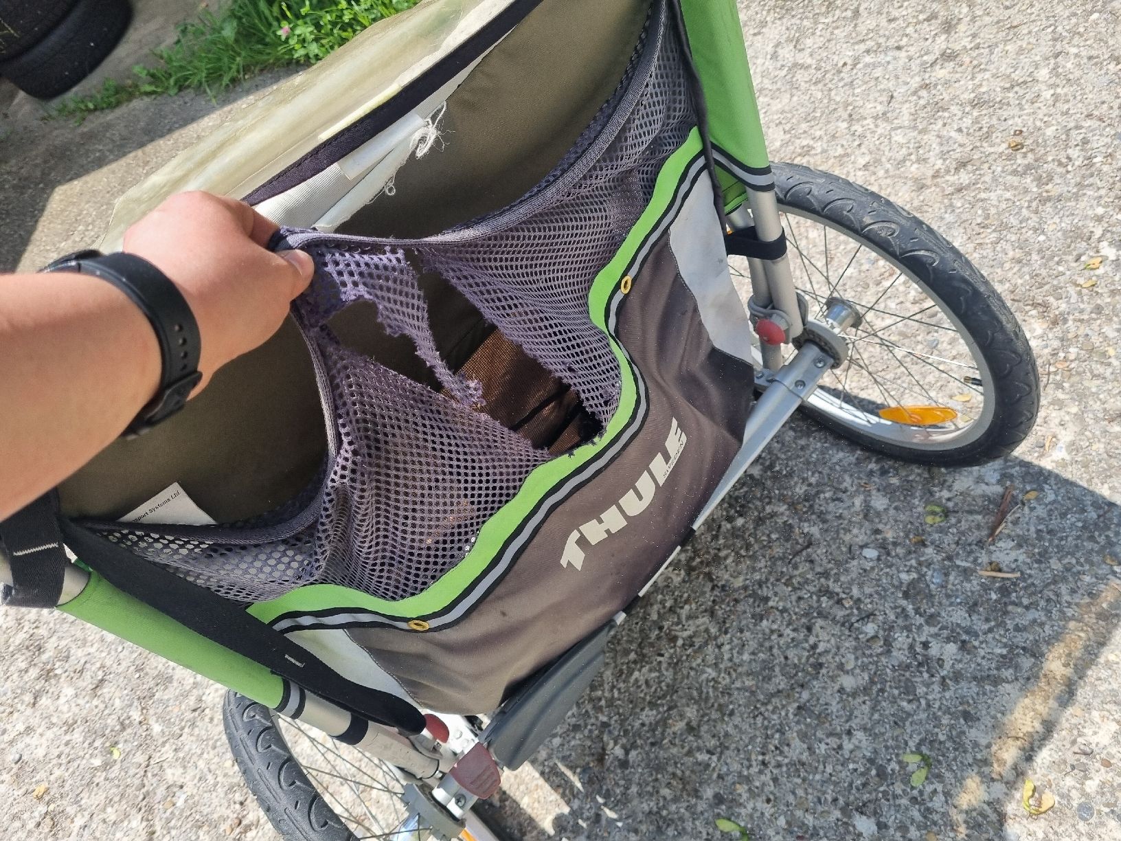 Thule Rimorchi: Thule Kinderanhänger – Usato da Wasen im Emmental venduto da Diii94 2