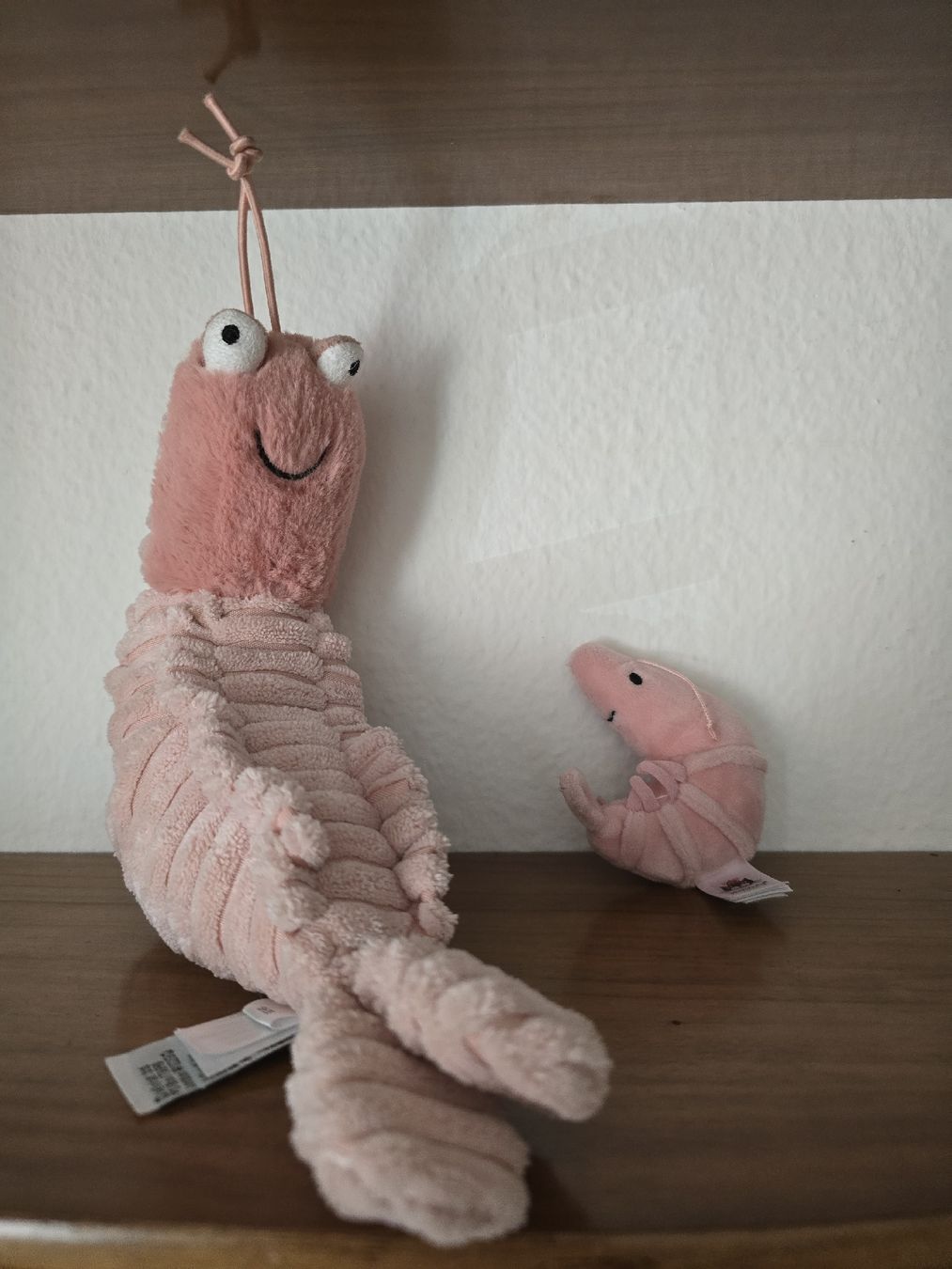 Jellycat Giocattoli: 2 x Jellycat Sammlung Garnelen Shrimps – Nuovo (secondo la descrizione) da Riehen venduto da Pelagia07 3