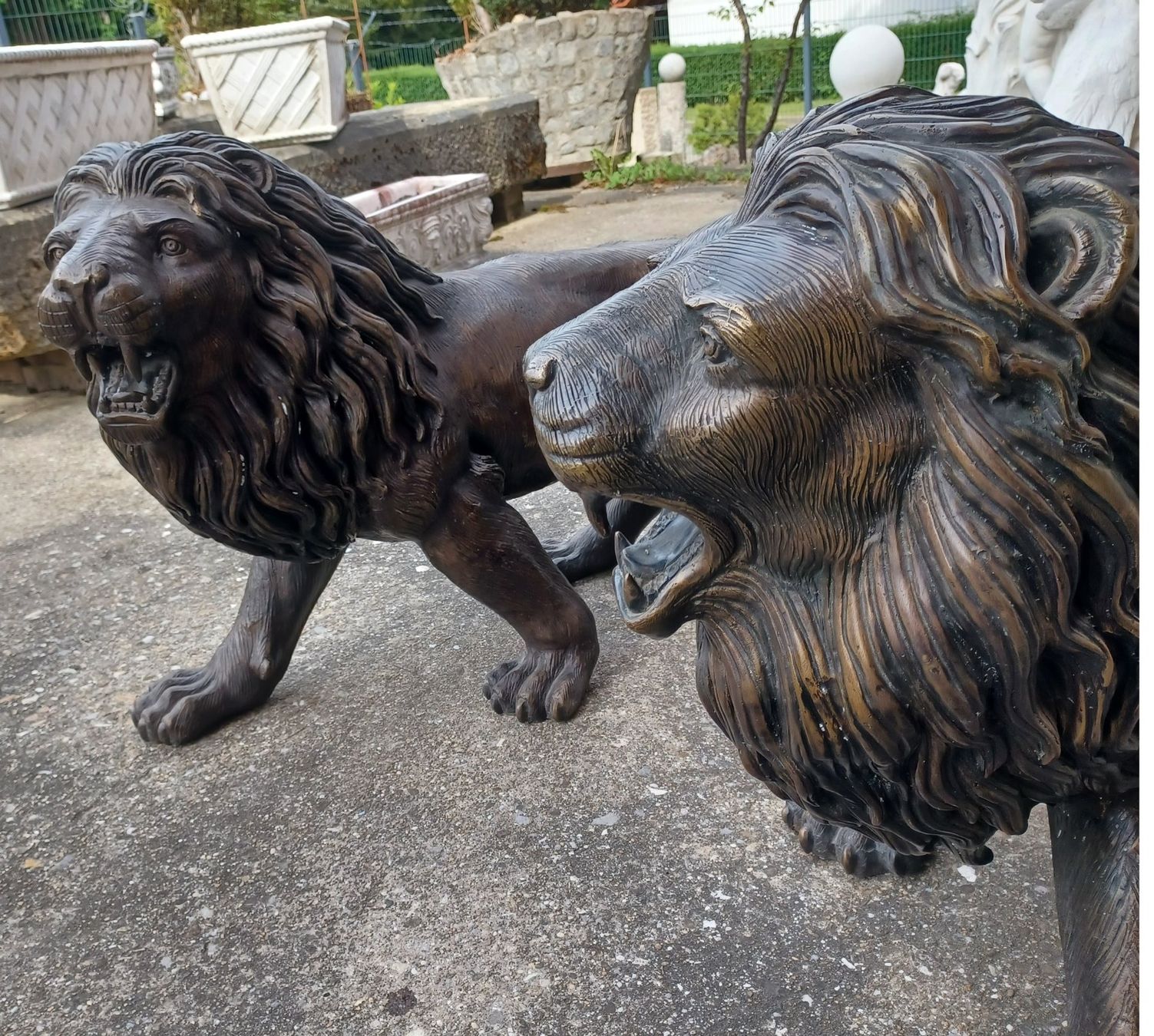 Statuette: Löwen - Paar Bronze – Nuovo (secondo la descrizione) da Wangen a.Aare venduto da Schneckenparadies 3