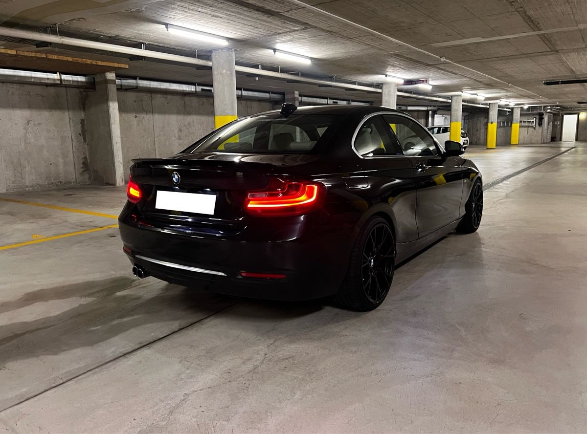 BMW Automobili: BMW 220i coupé Luxury Line – Usato da Winterthur venduto da Remysternle 2