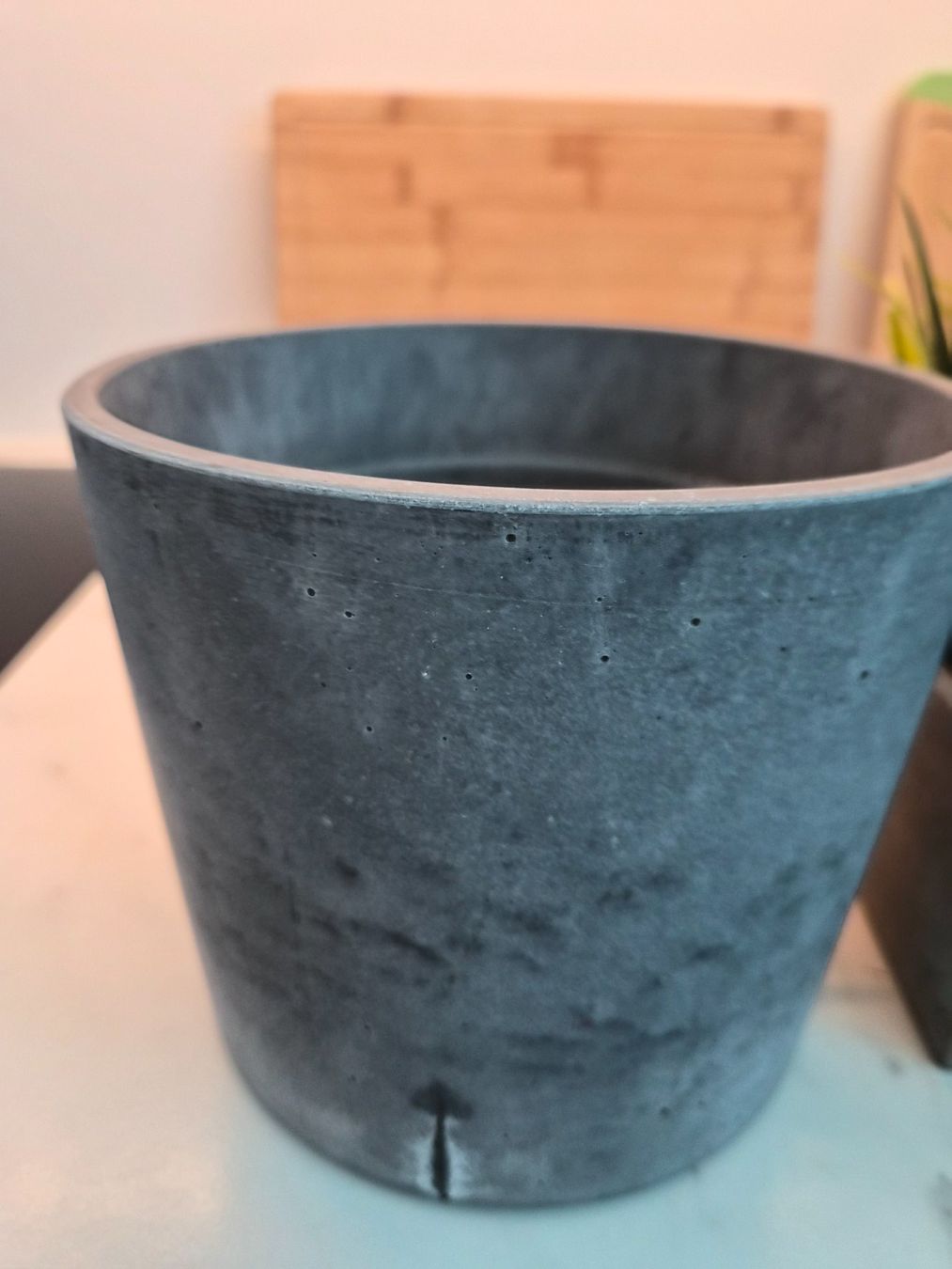 Alle Dekorationen: Artificial Plants in Concrete Pot & Concrete Pot – Gebraucht aus Maur von Sofi___ 2