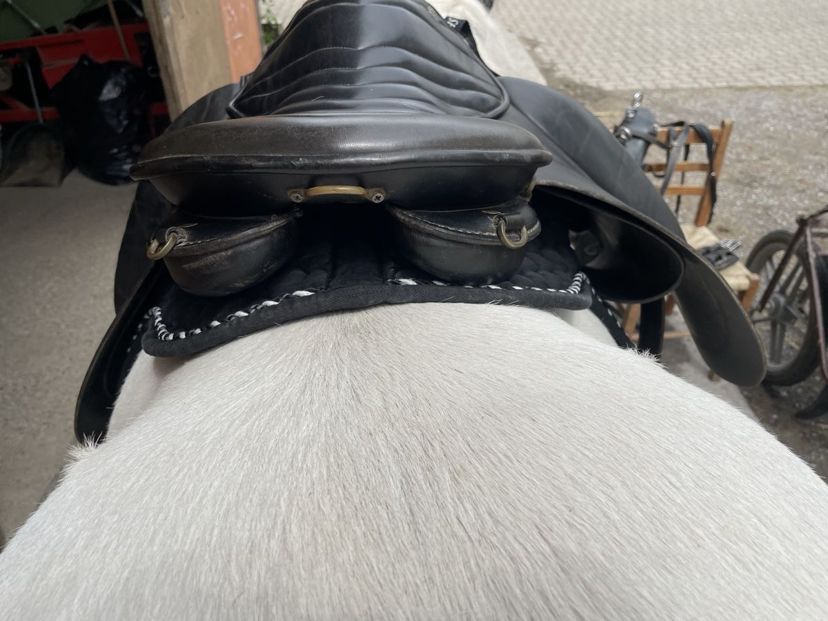 Selle & Accessori: Islandpferd Sattel HRIMNIR – Usato da Gockhausen venduto da Yvee 2