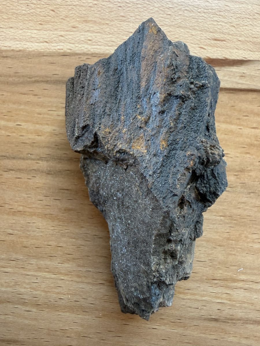 Fossili: Versteinertes Holz – Usato da Grenchen venduto da Bastet007 1