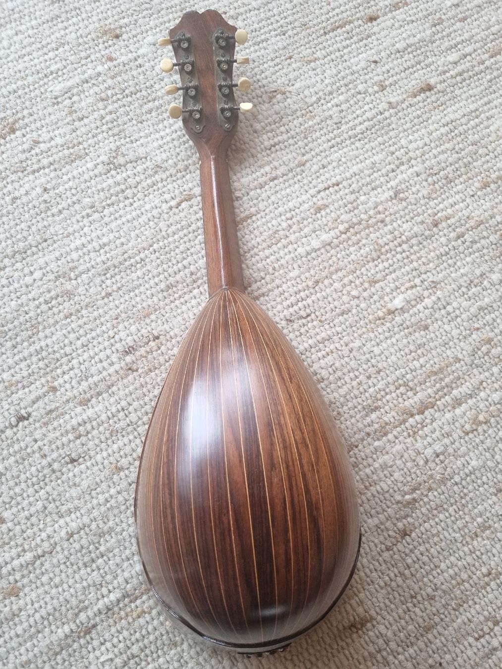 Strumenti musicali: Puglisi Mandoline Catania, Antik, mit Tasche – Usato da Seengen venduto da Anoukian 4