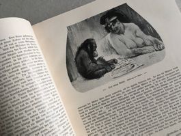 🟡antik Buch Die Weiberherrschaft Band II - 1930 EROTIK