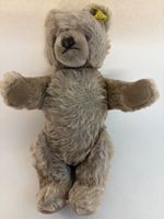 Original Steiff Teddybär, Vintage, Sammlerstück, Rarität