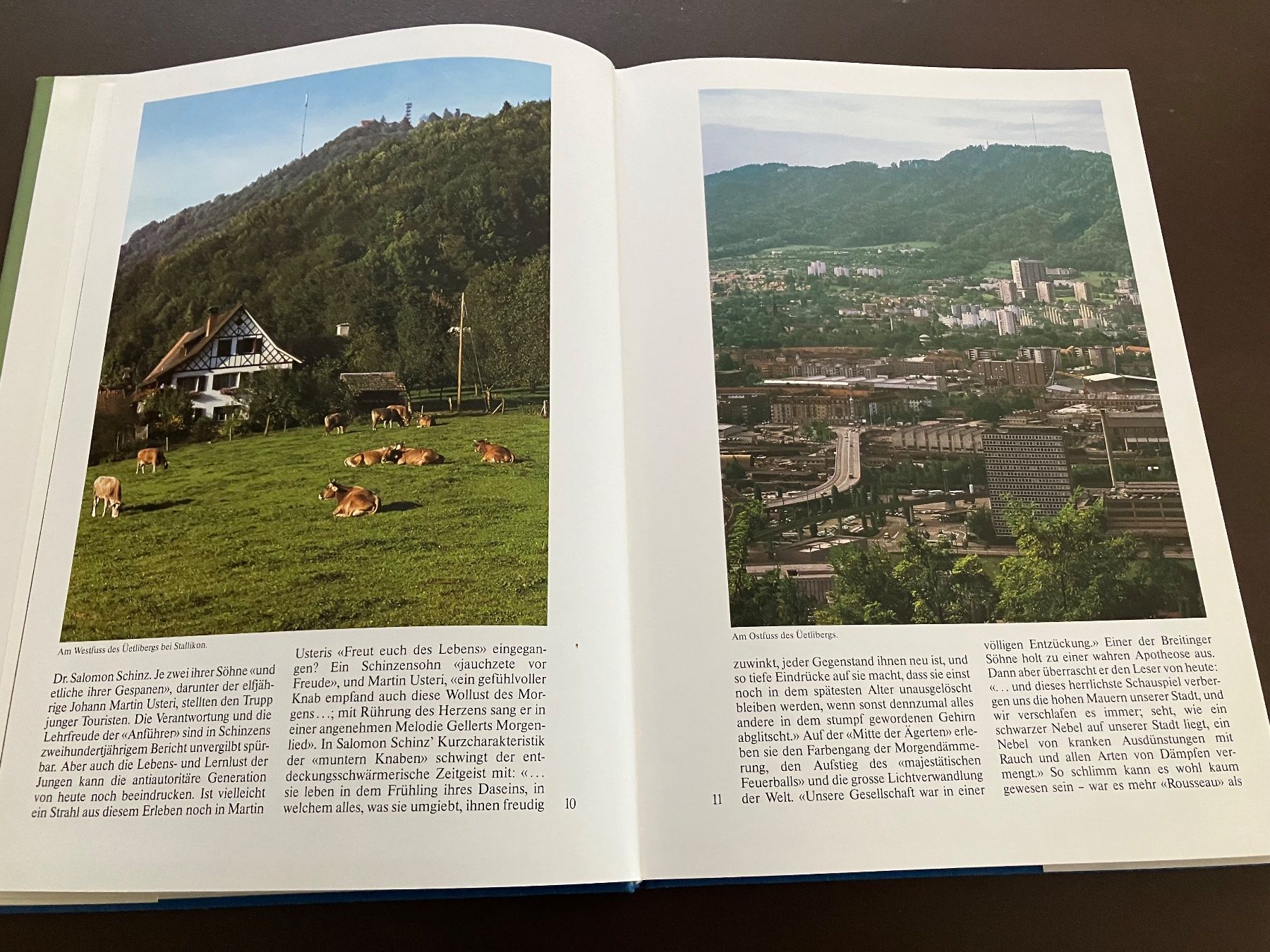 Libri: Der Üetliberg Zürich – Usato da Menziken venduto da timbuktu1001 6