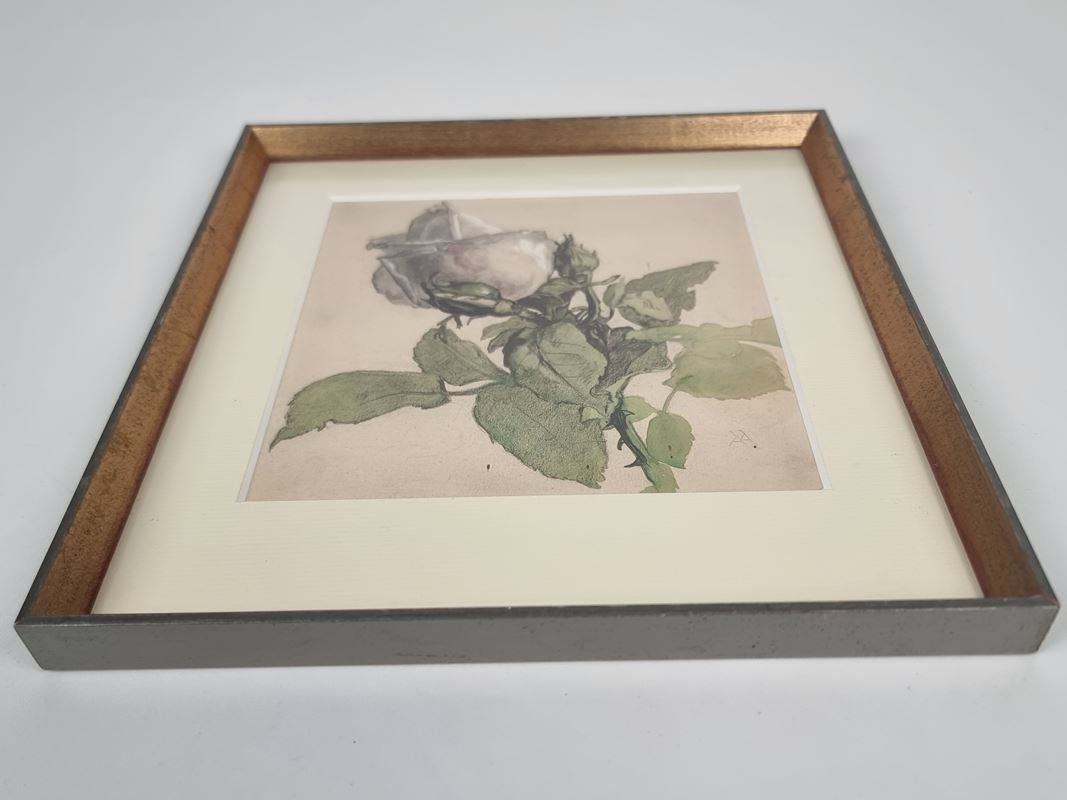 Foto & Immagini: Rosen Bild – Usato da Urtenen-Schönbühl venduto da Restwert_Schoenbuehl 1