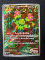 Maractus 160 - Maracamba - IR - Journey Together - EN