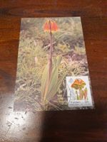 Carte postale rare avec timbre - Fleur Transkei 21c