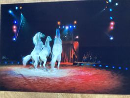 Circus Knie Foto 2006