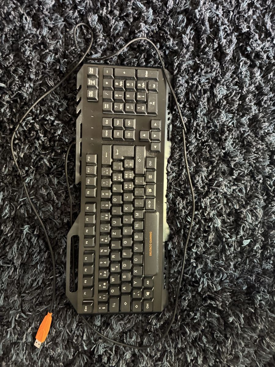 Tastaturen: Deltaco Gaming Keyboard mit LED – Neu (gemäss Beschreibung) aus Luzern von Neonpigeon 1