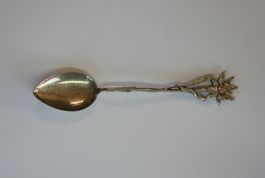 Sammellöffel Edelweiss Silber 800 #NUMI1027