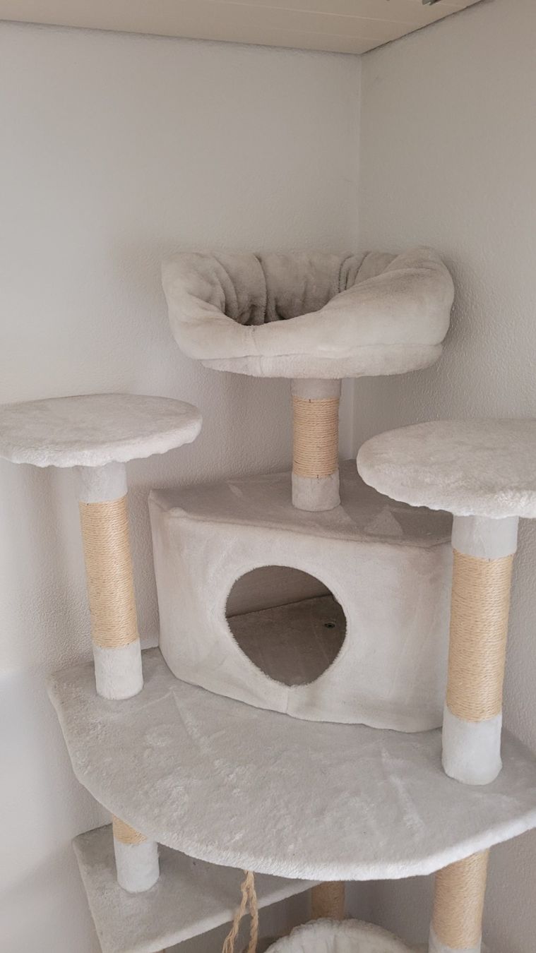 Tiragraffi: Katzenbaum, mehrstöckig – Usato da Suhr venduto da sla_p652 1