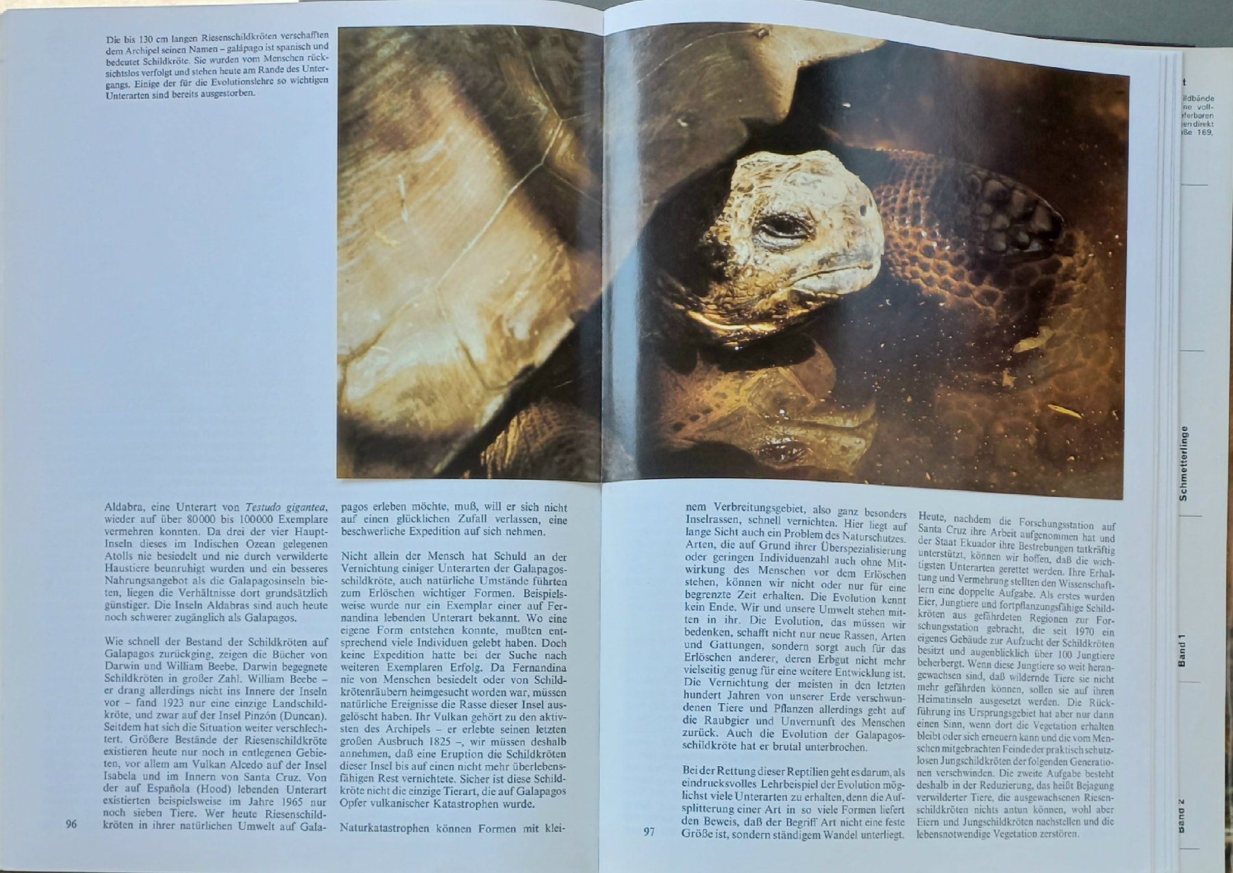 Bücher: Buch - Zoo Galapagos - Silva-Verlag – Gebraucht aus Niederuzwil von lubimaja 7