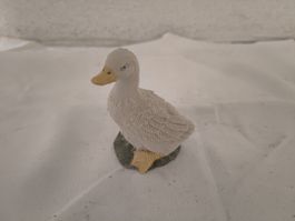 Kleine Gans