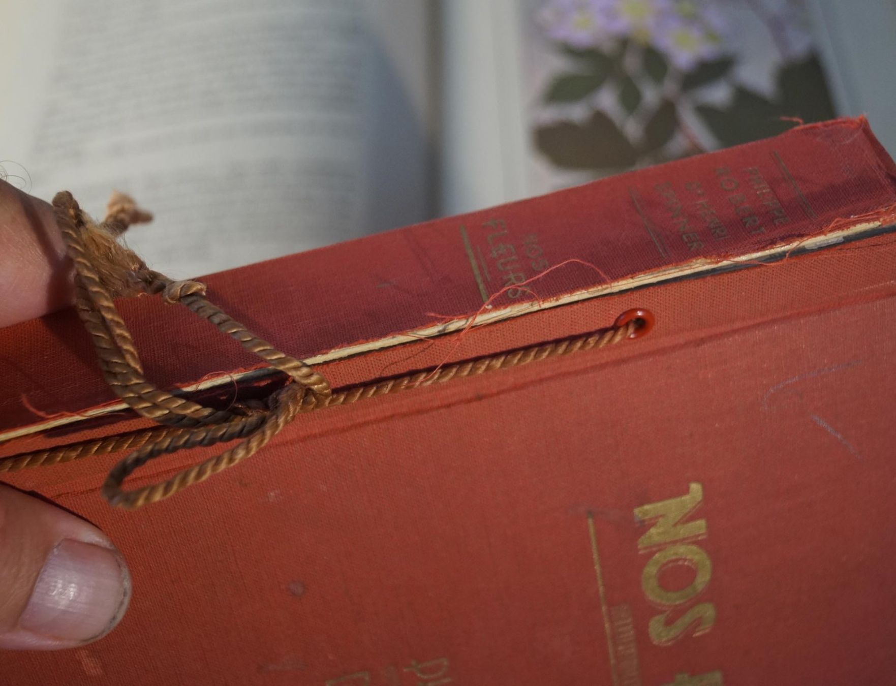 Libri: NOS FLEURS 1 & 2 Philippe Robert Henri Spinner / Suchard – Usato da Härkingen venduto da sammelbecken 6