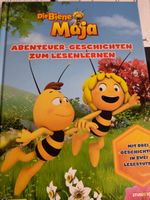 Maja Buch "Abenteuer-Geschichten zum Lesen lernen" Top!