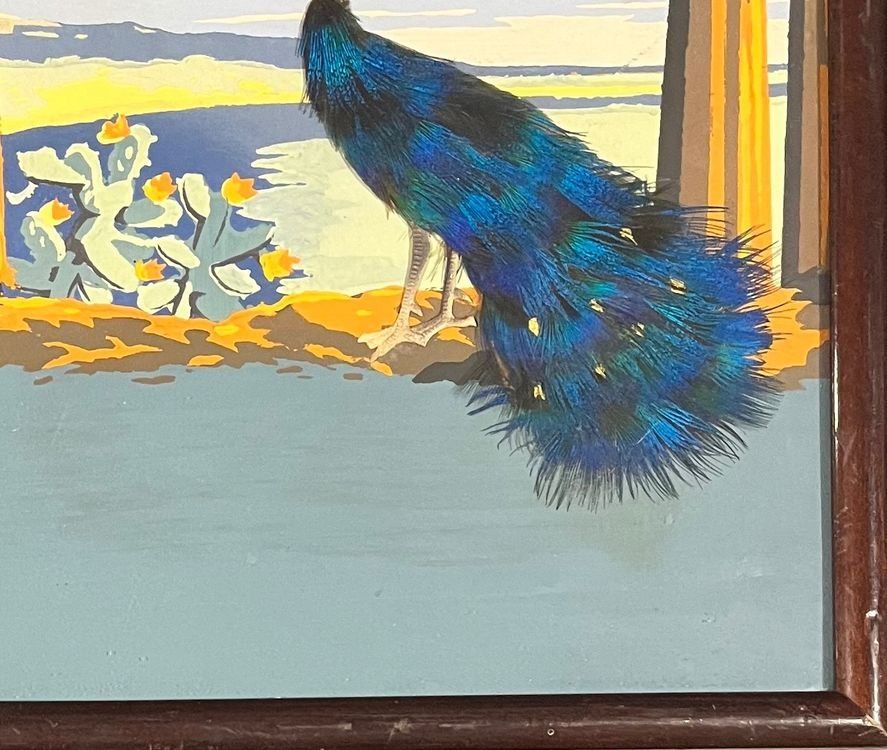 Dipinti: Spezielle Collage mit Pfau – Usato da Hinwil venduto da Unglaubliche-Treffer 1