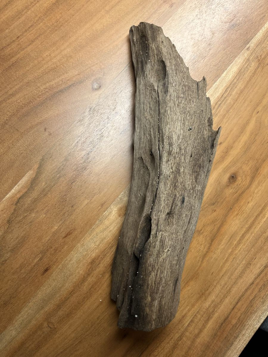 Tutte le decorazioni: Mangrovenholz 30cm - Aquariumdeko – Usato da Wauwil venduto da tna 1