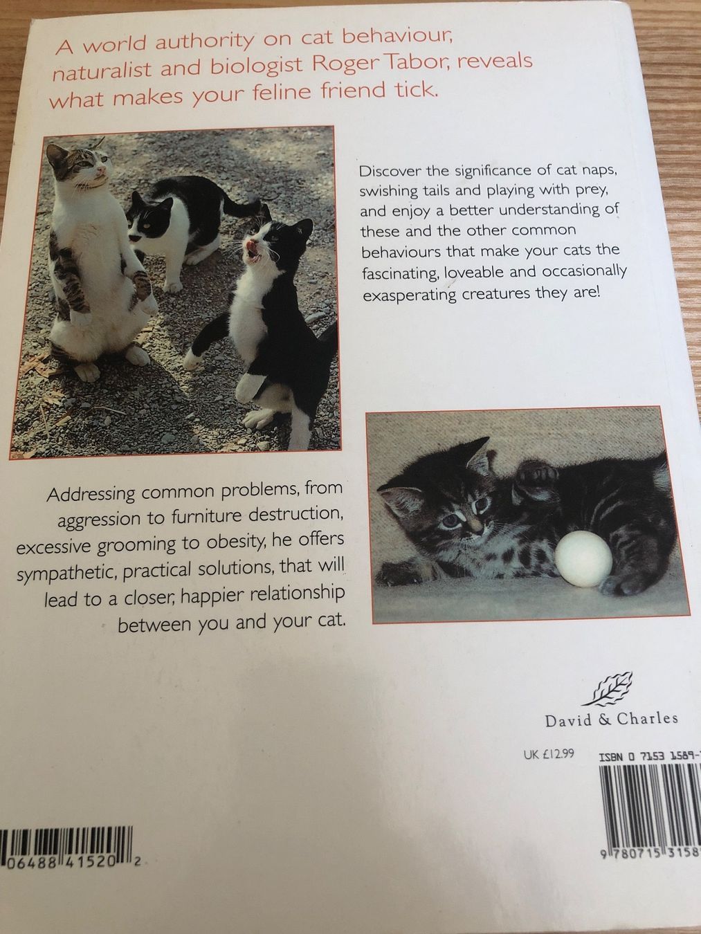 Bücher: „Understanding Cat Behavior“: Complete Feline Problem Solver – Gebraucht aus Zürich von Upippin 1