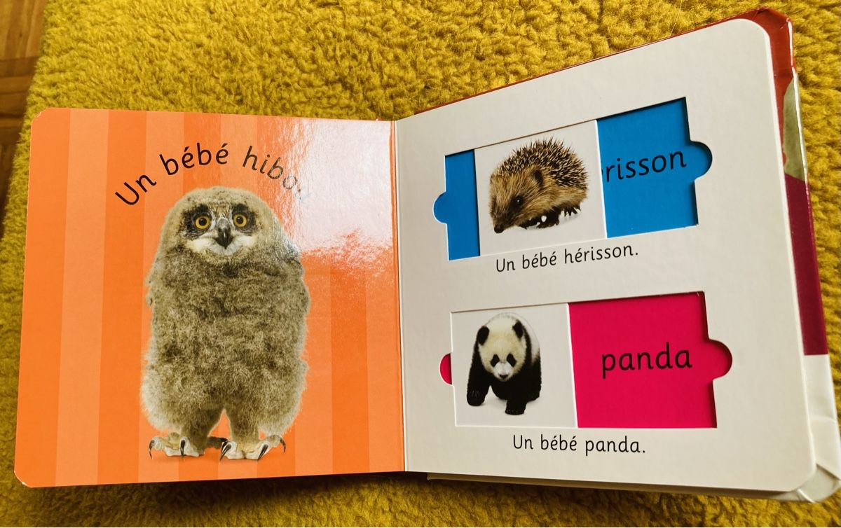 Bücher: Petit album sur les animaux – Neu und originalverpackt aus Ardon von hel_2sxp 1