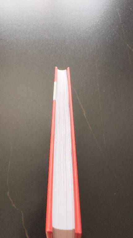 Bücher: Schweizerdeutsch für Anfänger – Gebraucht aus Rüthi (Rheintal) von ine_98z7 2