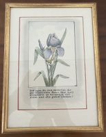 Gefängniskunst Luzern 1927: Iris-Aquarell an Gefängniswärter