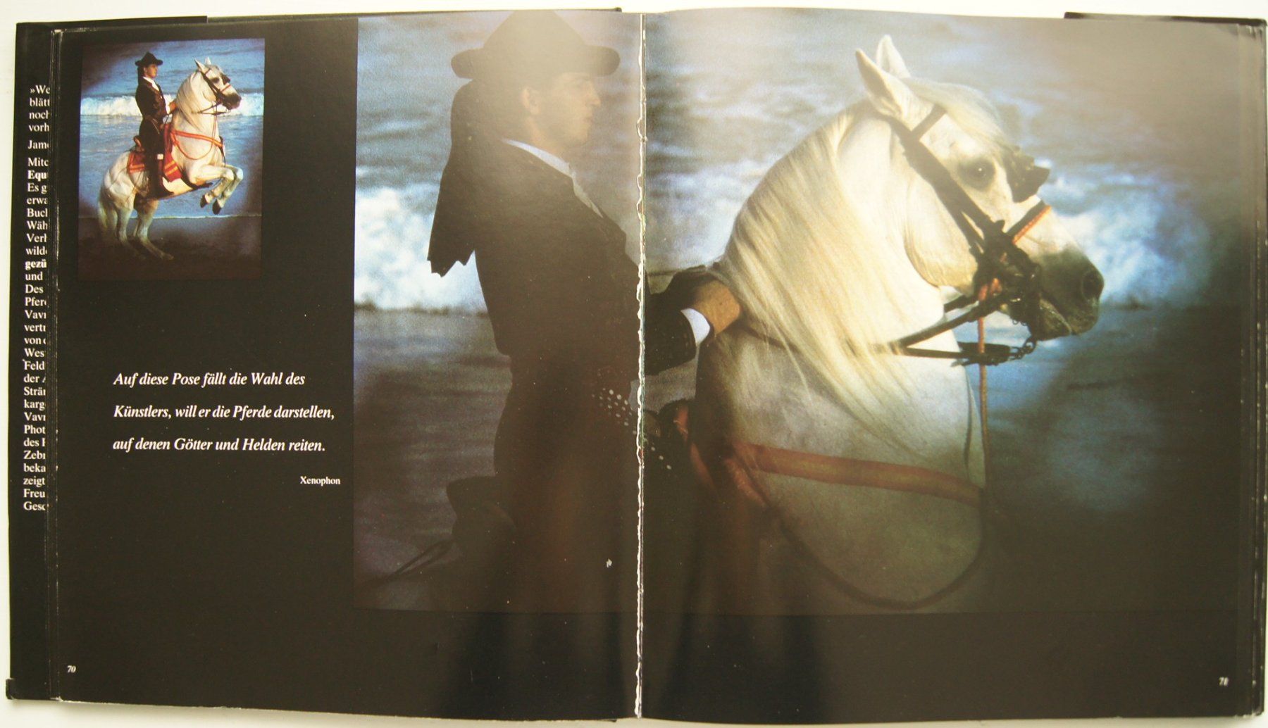 Livres: Buch: Equus gezügelt – D'occasion à Fribourg par erw_68dx 3