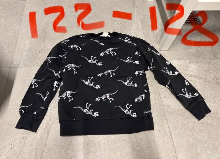 Pull dinosaure 122 - 128
