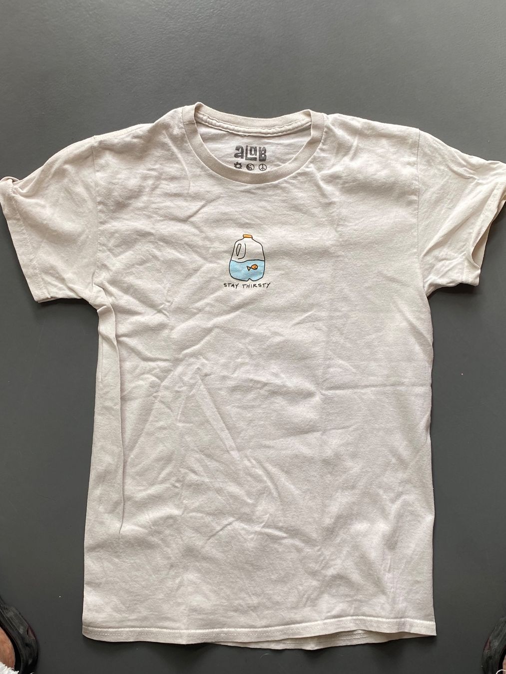 T-shirt: Blue Tomato T-Shirt Grösse S – Usato da Konolfingen venduto da sibi1977 2