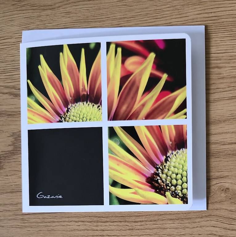 CD: Collagekarte Gazanie – Nuovo e nell'imballaggio originale da Chur venduto da Frei3912 1