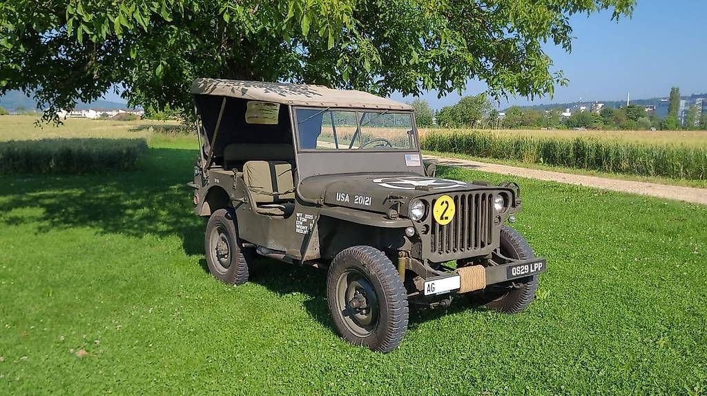 Jeep Automobili: Willys MB Jeep – Usato da Stein AG venduto da M.PEAKY 1